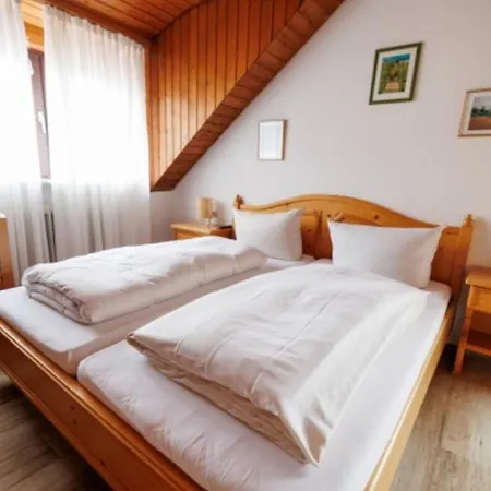 Drexl Gasthof Shiro Hotel *